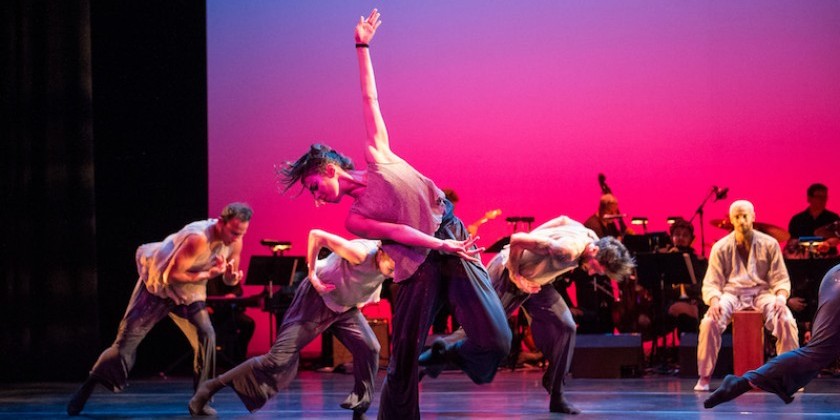 Impressions of: Malpaso Dance Company’s "Dreaming of Lions" at BAM's Harvey Theater