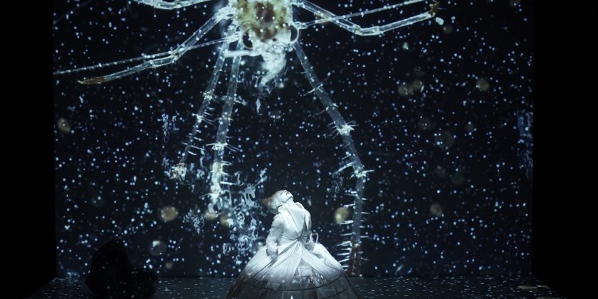 V.4 Dance Festival: 4 Companies from The Visegrad Countries