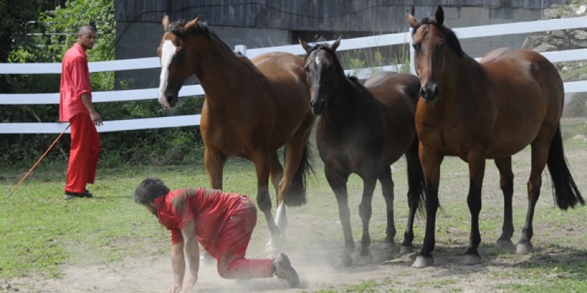 TDE Asks The Equus Projects About “Grazing Gracefully,” A Wacky Tea Party For Humans And Horses