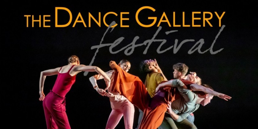 Dance Gallery Festival Professional Development Panel