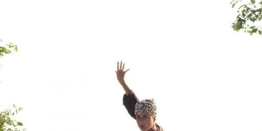 Nai-Ni Chen Dance Company presents The Bridge Classes: March 1-5