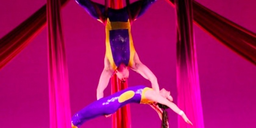 "The Art of Circus" by Cirque-tacular