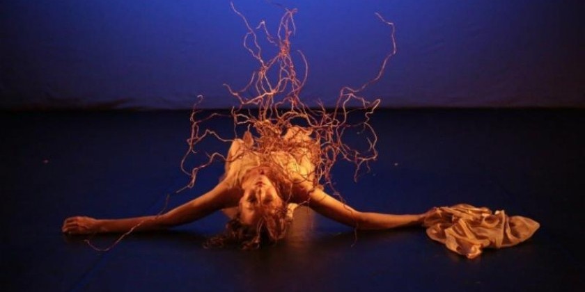 This Weedend! American Dance Guild's "Bare Bones Concert" 2014