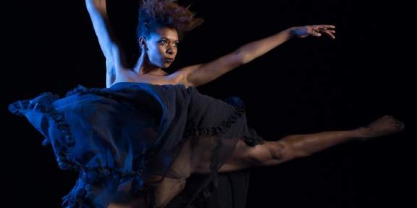 Black Swan