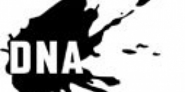 DNA PRESENTS 2012-13 SEASON OPENER FEATURES WORLD PREMIERE BY ISABEL LEWIS/LEWIS FOREVER