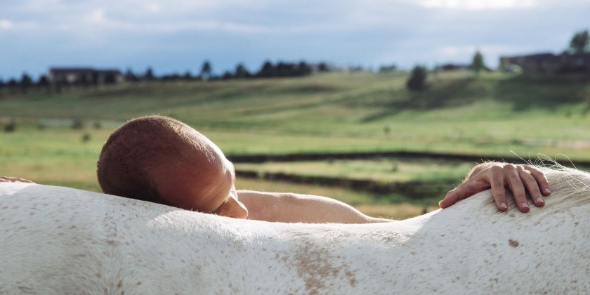 The Equus Projects is Seeking a Dramaturg