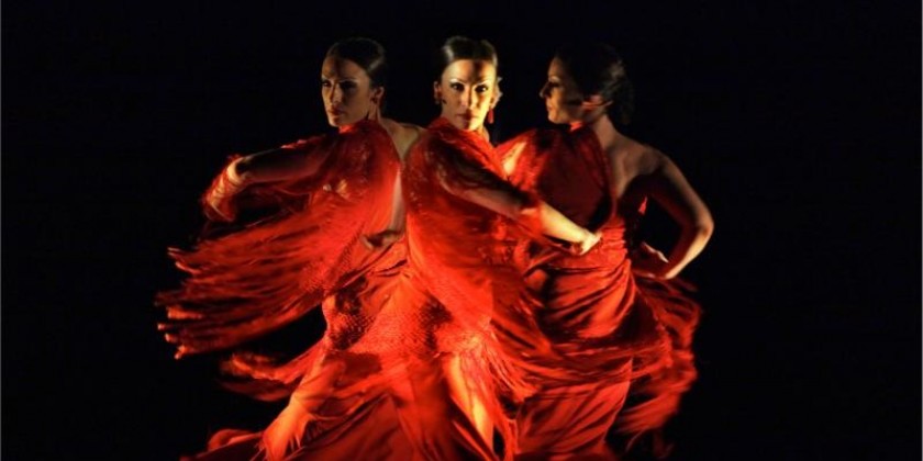 Flamenco Vivo Carlota Santana's Spring 2015 NYC Season at BAM Fisher