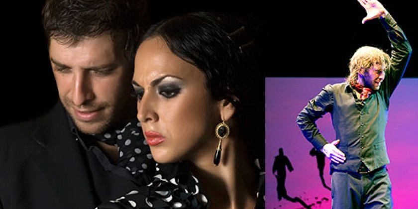 Met Museum Presents Performances: "Memoria Antigua: Flamenco"