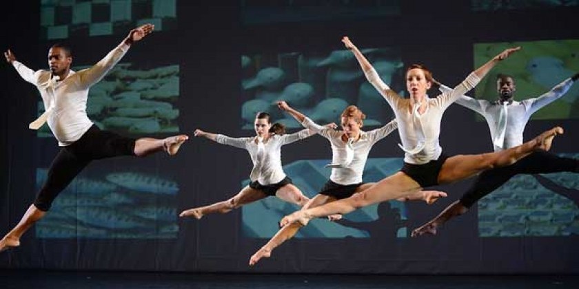 Battery Dance 33rd Annual Festival‏ 