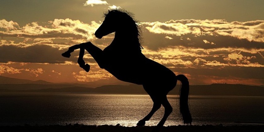 DOUGLAS DUNN LEADING TECHNIQUE ﻿FEBRUARY & MARCH 2026