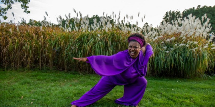 Battery Dance & the Consulate General of India present Indian Dances Curated by Jonathan Hollander (FREE)