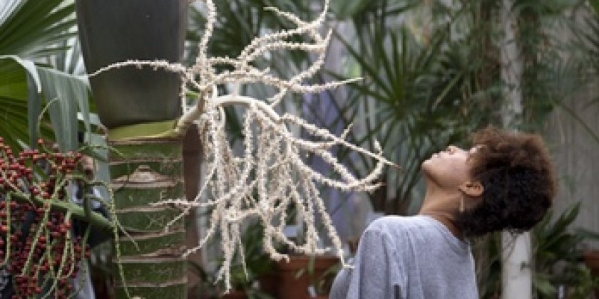 Isabel Lewis, Dia Art Foundation Audition