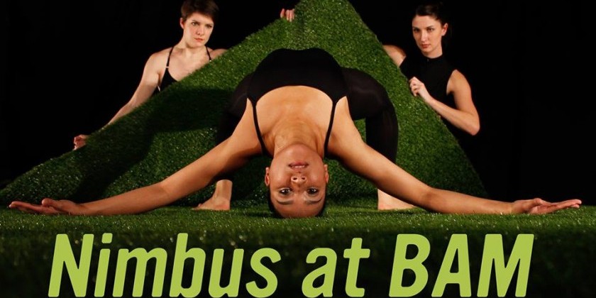 Nimbus at BAM!