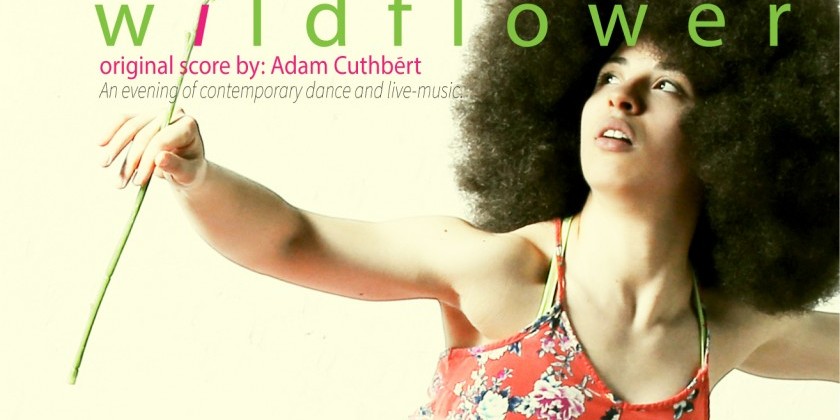 W I L D F L O W E R by shawnbibledanceco.