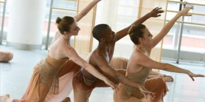 AMANDA SELWYN DANCE THEATRE welcomes the public to an Open Rehearsal