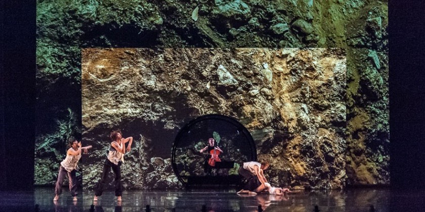 BAM Next Wave Festival: ODC/Dance presents "boulders and bones"