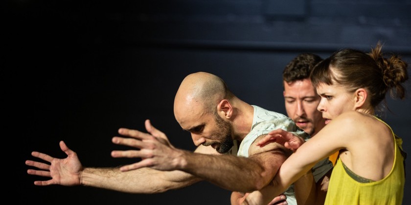 New York Live Arts Presents Kimberly Bartosik/daela's "through the mirror of their eyes"