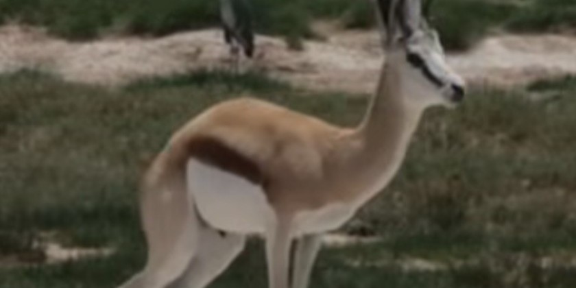 DOUGLAS DUNN LEADING TECHNIQUE ﻿JANUARY 2026