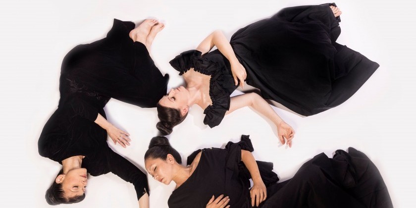 HOUSTON, TX: Vangeline Theater/New York Butoh Institute present Public Showing of "The Slowest Wave" (FREE)
