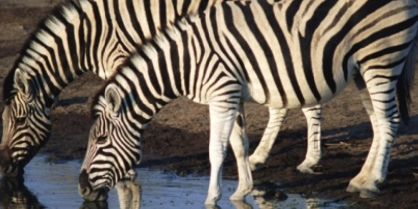 DOUGLAS DUNN LEADING TECHNIQUE FALL/WINTER 2025