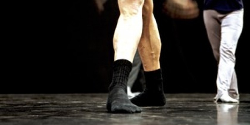 Zvi is back teaching! 