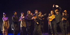 Impressions of Gala Flamenca
