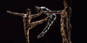 IMPRESSIONS: Stephen Petronio Company in "Wild Wild World," "Hardness 10," and Merce Cunningham's "Signals" at The Joyce Theater 