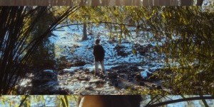 A Quiet Longing | 寄兴园记 by Yiran Shu at the New York Shorts International Film Festival 2025 