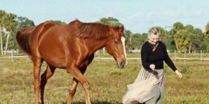 What 28 Dance Artists & Companies Have Been Getting Up To Lately