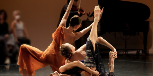 Miro Magloire's Well, a feast for the pattern-seeking human brain