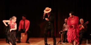 Visit Dance/NYC's Coronavirus Preparedness Resources 