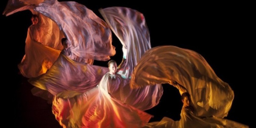 Spot for Dance: A Micro Movement Festival and Community Zone (FREE!)