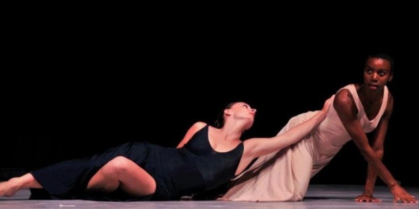 FINI DANCE FESTIVAL / Italian International Dance Awards