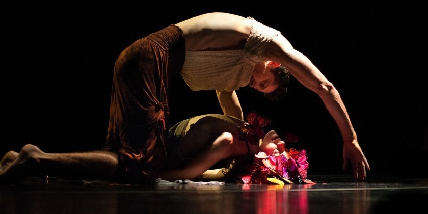 Dance Up Close to Desire- Kate Weare's "Dark Lark"