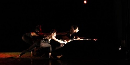 Nimbus Dance Works seeks male + female company members & apprentice dancers for 2015-16 Season