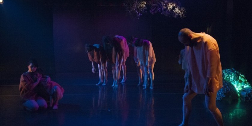 Intern for Mari Meade Dance Collective from May 1-June 20