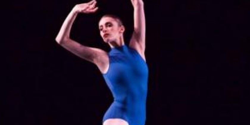 EDISON, NJ: American Repertory Ballet + Edison Arts Society present a gallery of Dance Photography