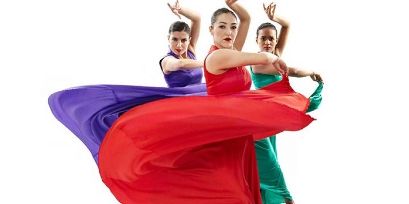 Digital Marketing Intern for Flamenco Vivo Carlota Santana