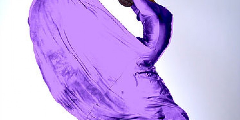 Ballet des Amériques Company Audition