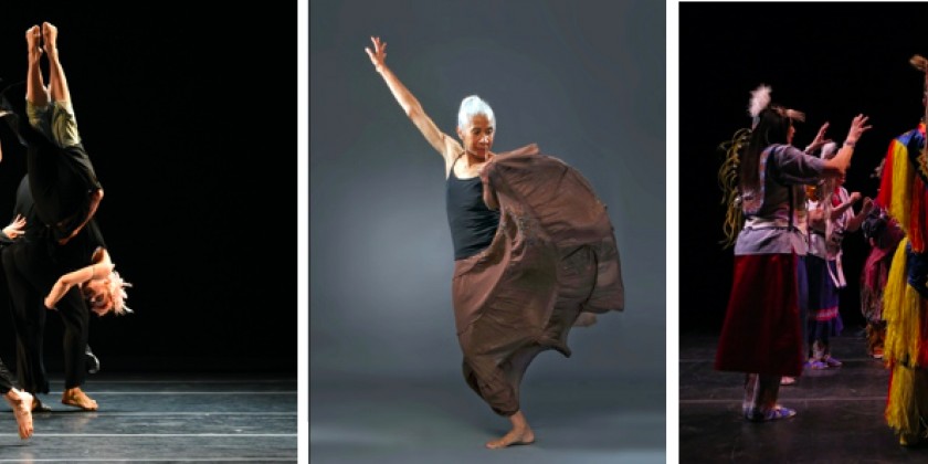 25 Dance Innovators and Cultural Leaders: The American Dance Guild Performance Festival goes VIRTUAL