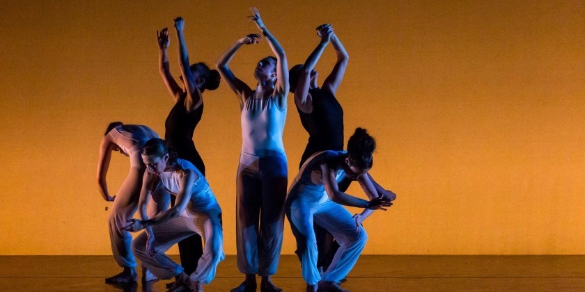 Ariel Rivka Dance Turns Twelve! Artistic Director Ariel Grossman On Feminine Energy & More