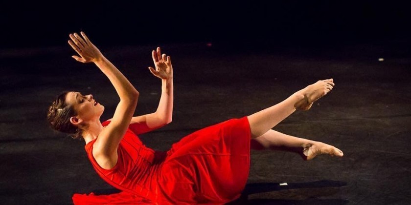 DANCE GALLERY OPENING NIGHT - RETURNING FOR 11TH YEAR!