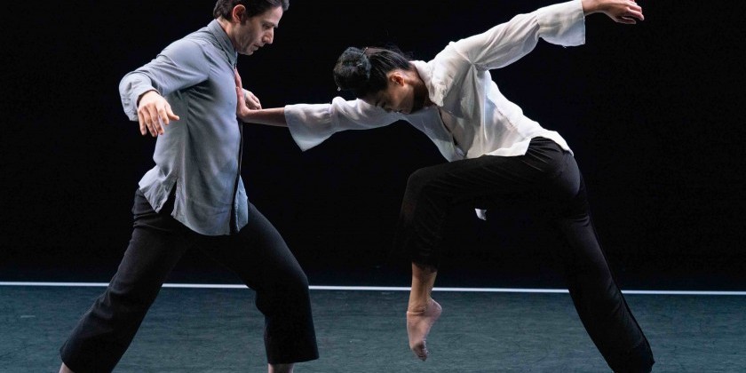 Armitage Gone! Dance presents "You Took a Part of Me" at New York Live Arts