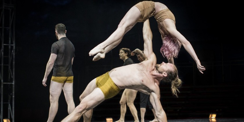 Next Wave Festival: Australian troupe in "Humans" (PHYSICAL THEATER)
