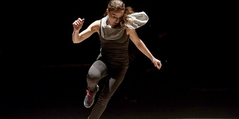 Dorrance Dance with Nicholas Van Young at The Joyce Theater
