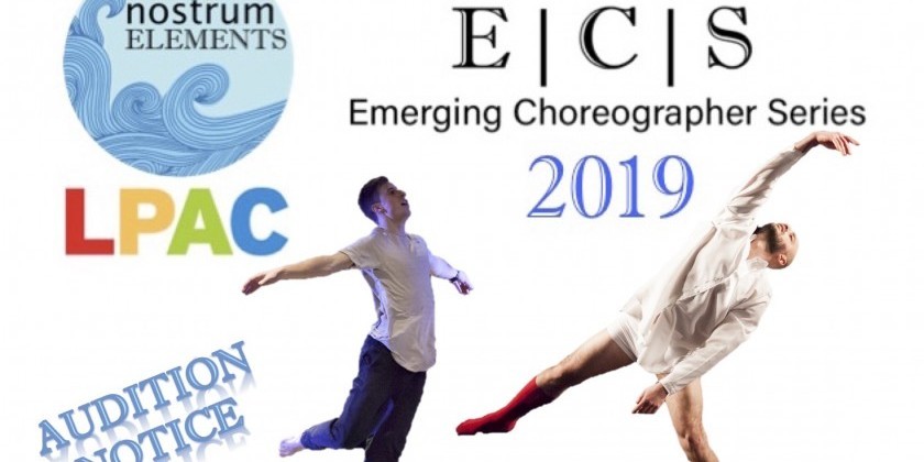 Emerging Choreographer Series 2019 Audition