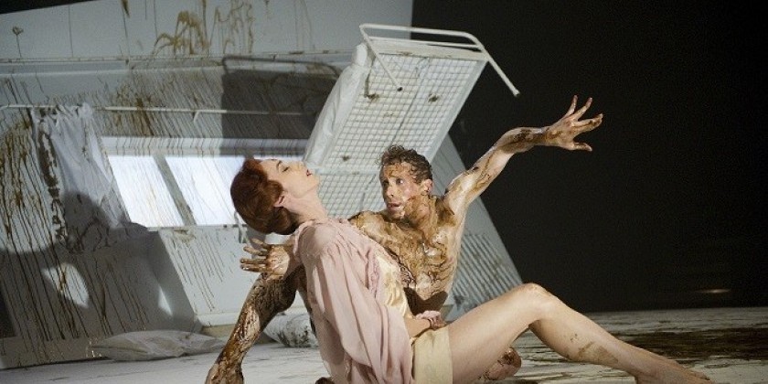 Impressions of : "The Metamorphosis" - A Royal Ballet Production