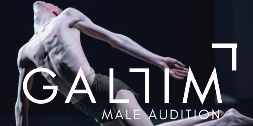 Gallim 2019 Male Auditions
