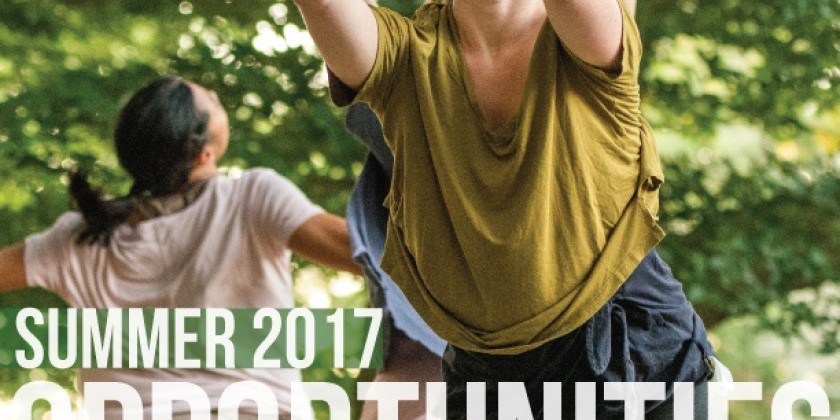 The Yard 2017 Summer Internships - apply November 1st!