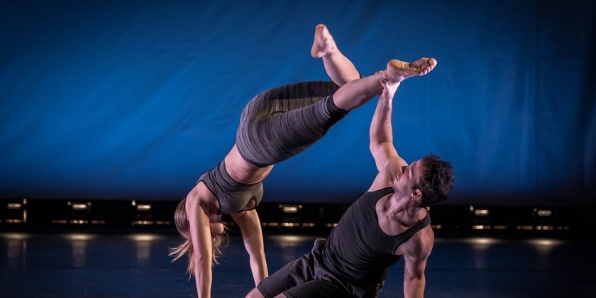 THE DANCE GALLERY FESTIVAL RETURNS TO NYC FOR 12TH YEAR